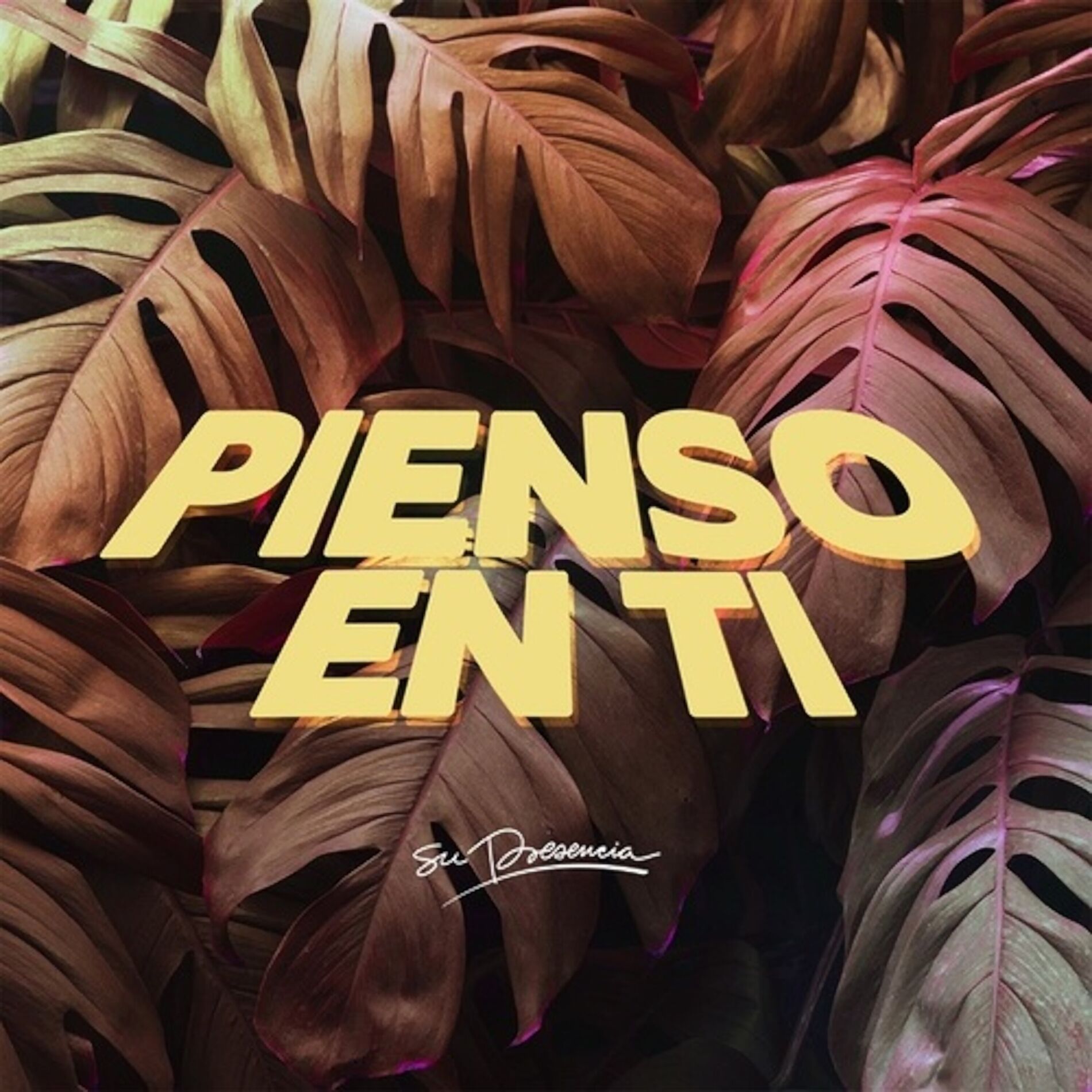 Album cover of Pienso en Ti