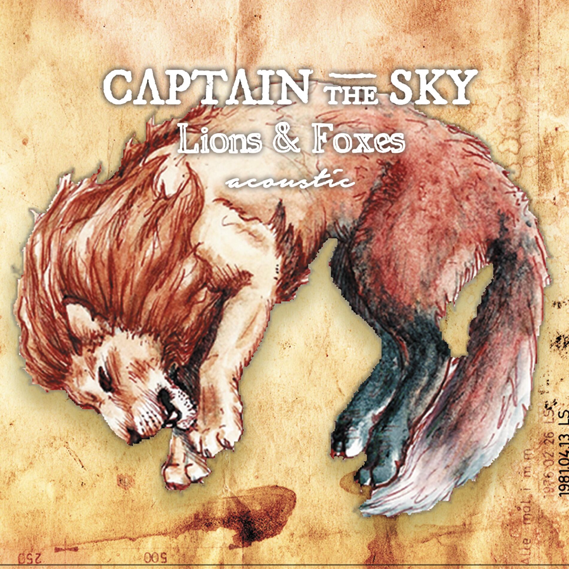 Album cover of Lions & Foxes Acoustic