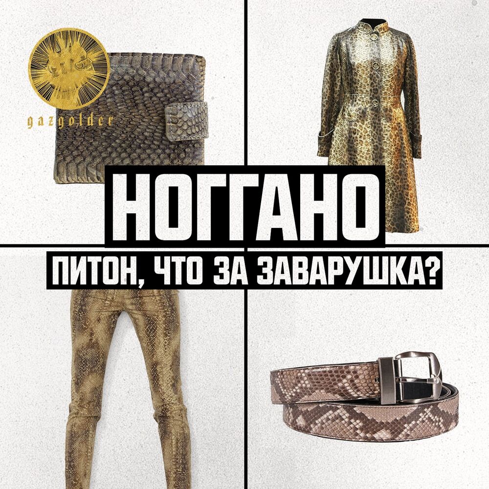 Picture of Питон, что за заварушка?