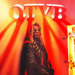 Cover of QTVB