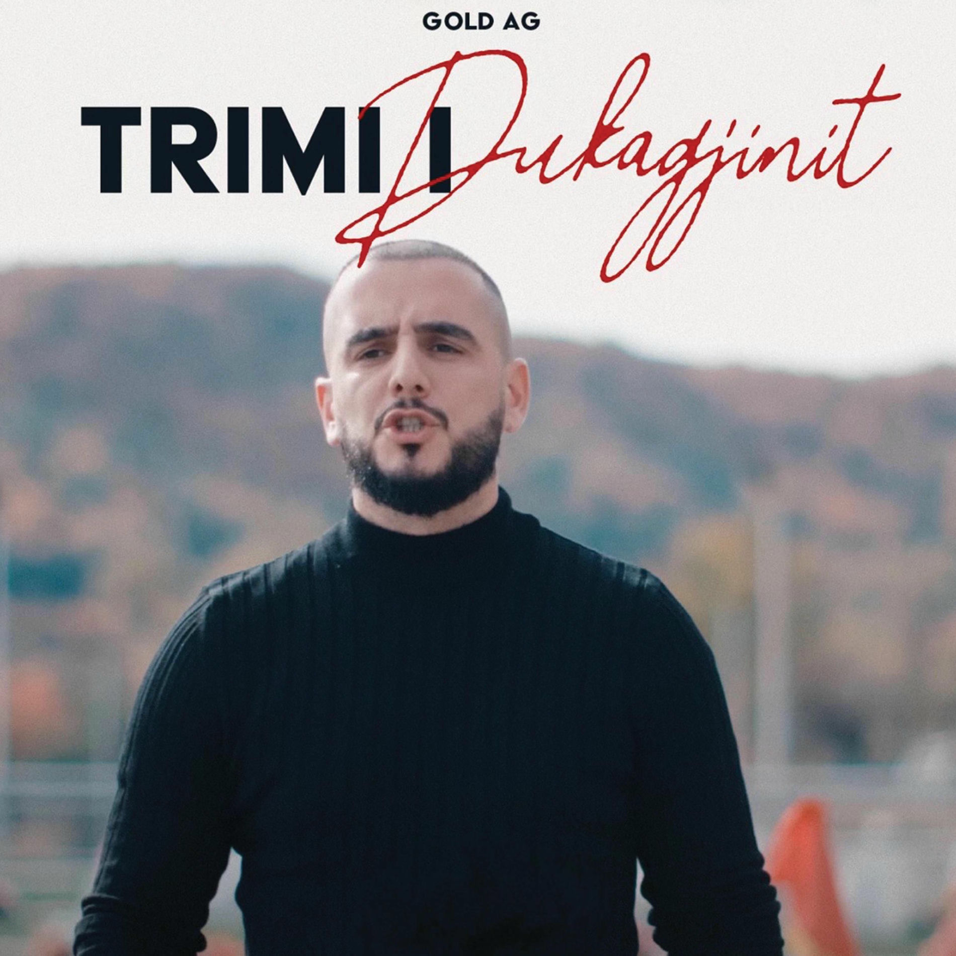 Album cover of Trimi i Dukagjinit