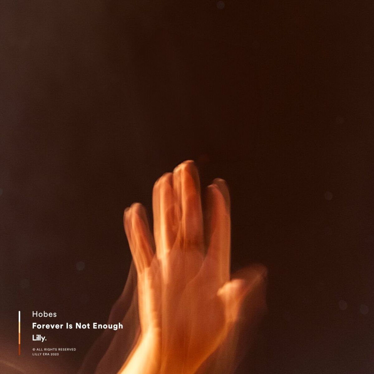 Album cover of Forever Is Not Enough