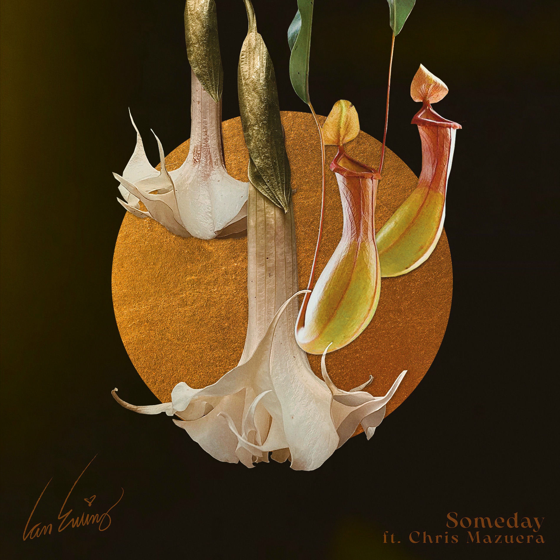 Album cover of Someday