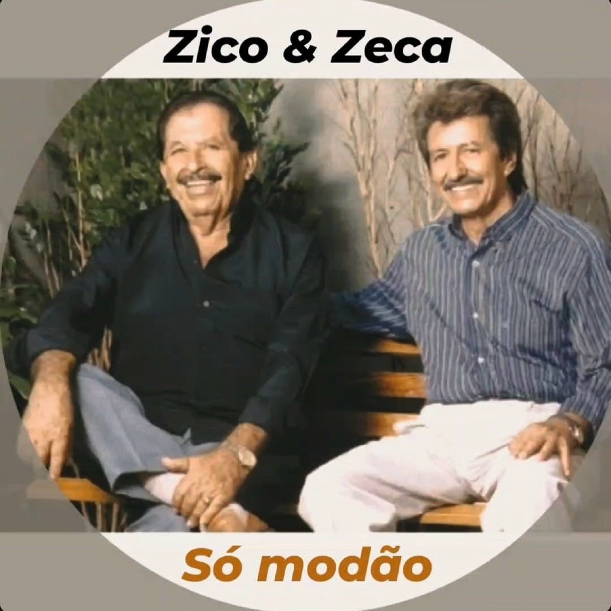 Album cover of Só Modão