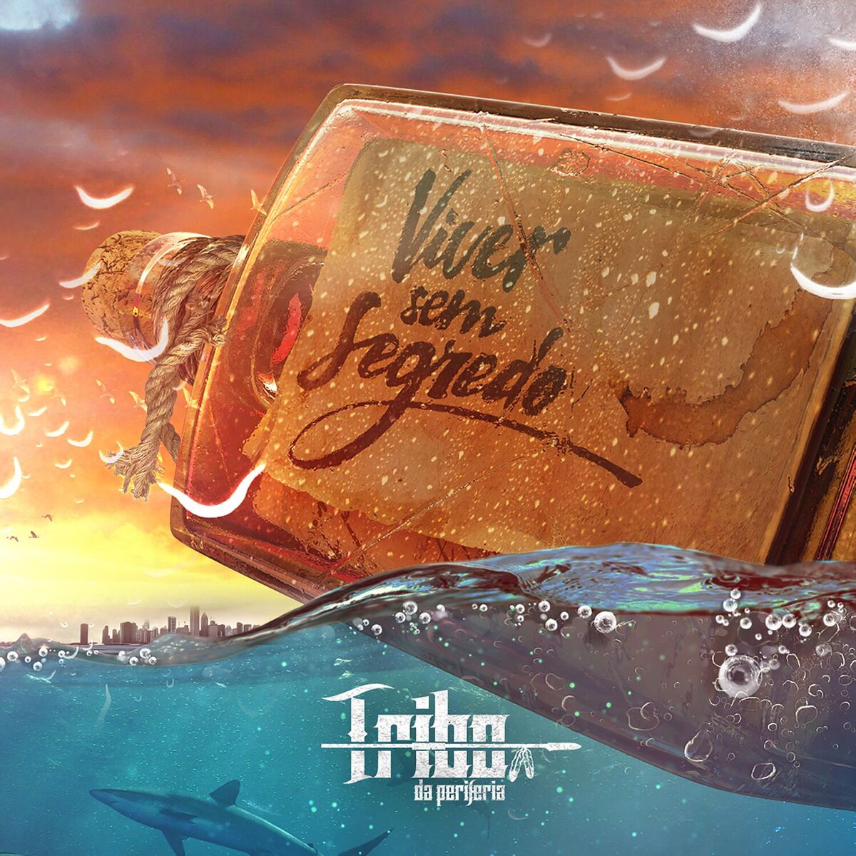 Album cover of Viver Sem Segredo