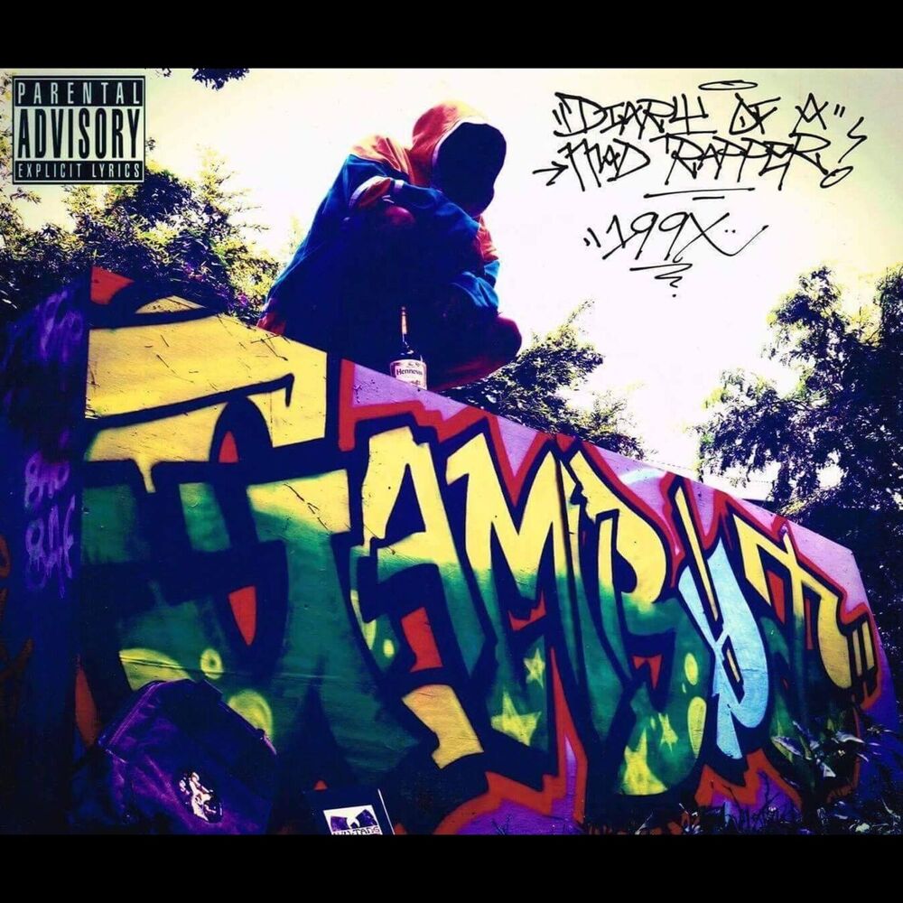 Picture of Diary of a Mad Rapper