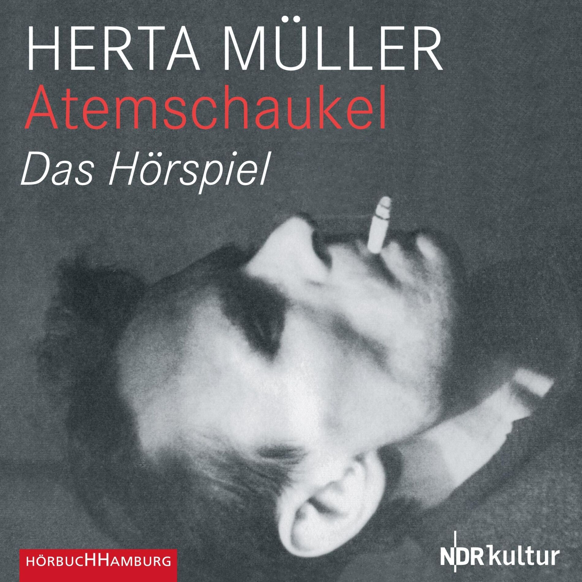 Album cover of Atemschaukel (Das Hörspiel)