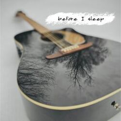 Cover of Before I sleep