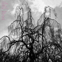 Cover of Never Were the Way She Was