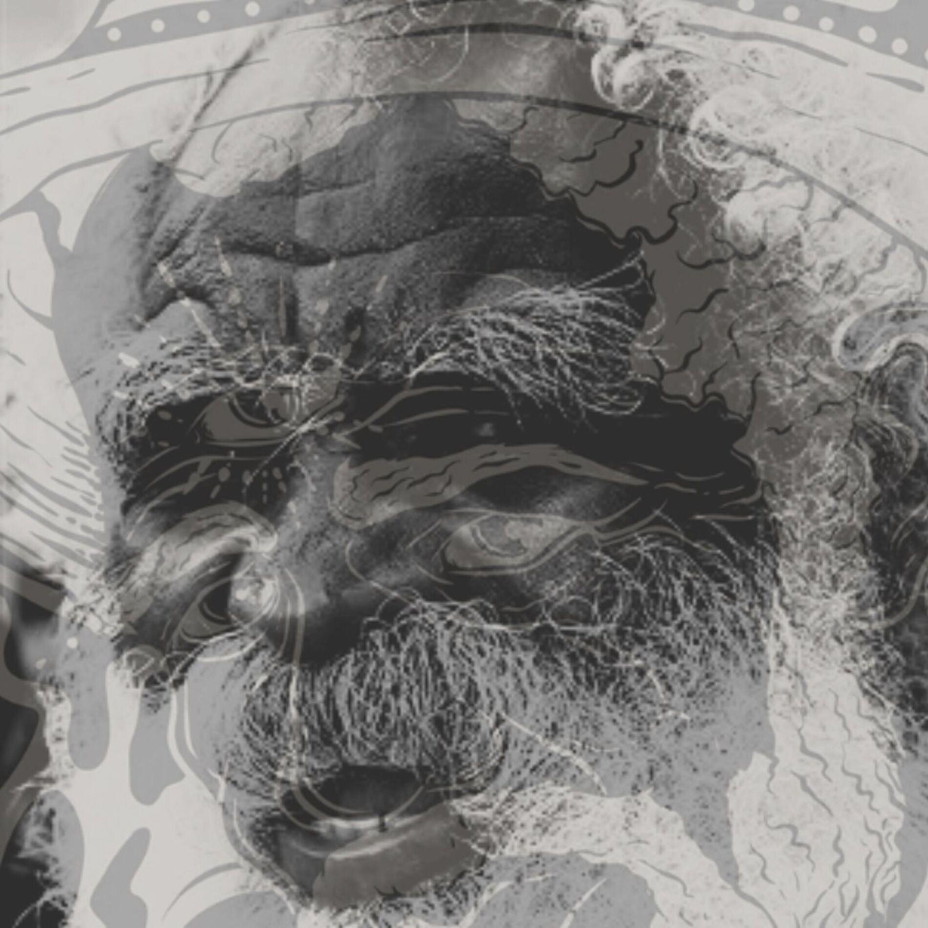 Album cover of TIRA EU DA SENZALA, SINHÁ