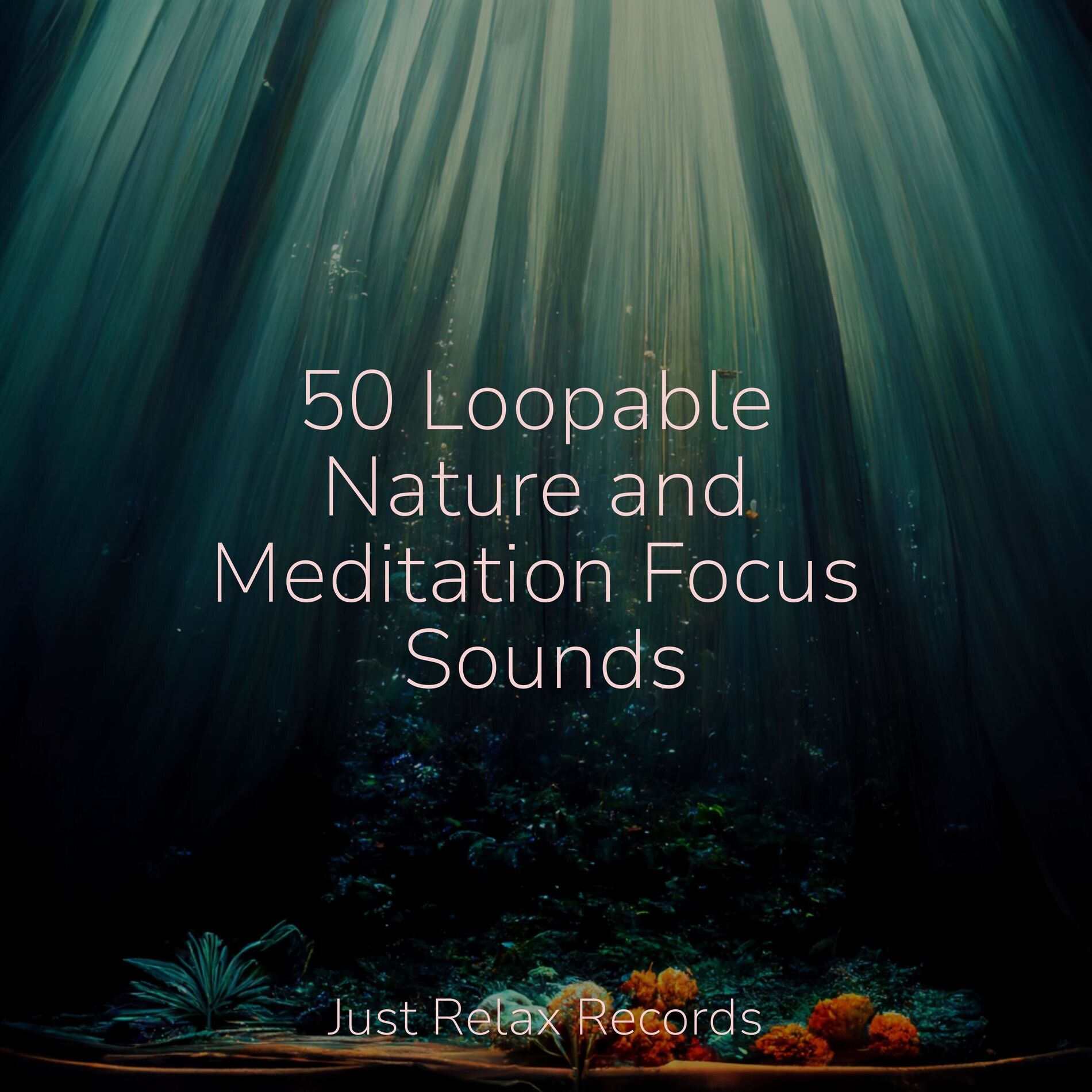 Album cover of 50 Loopable Nature and Meditation Focus Sounds
