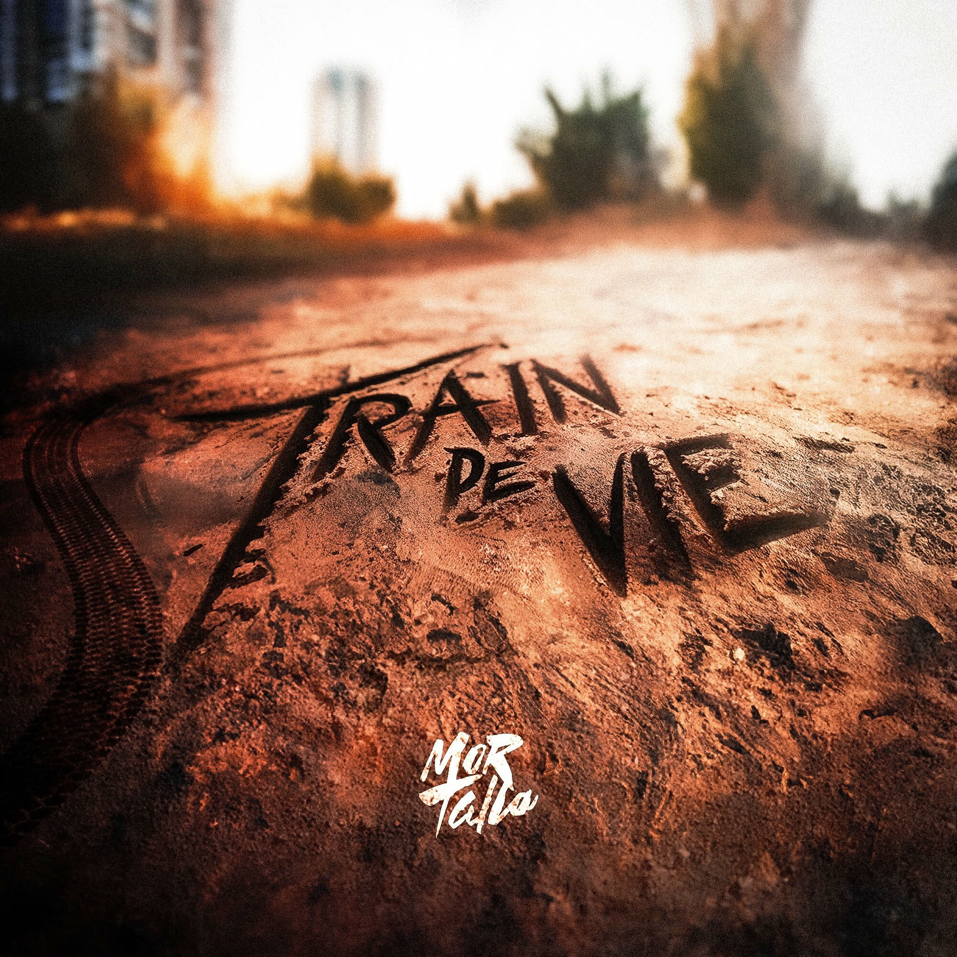 Album cover of Train De Vie
