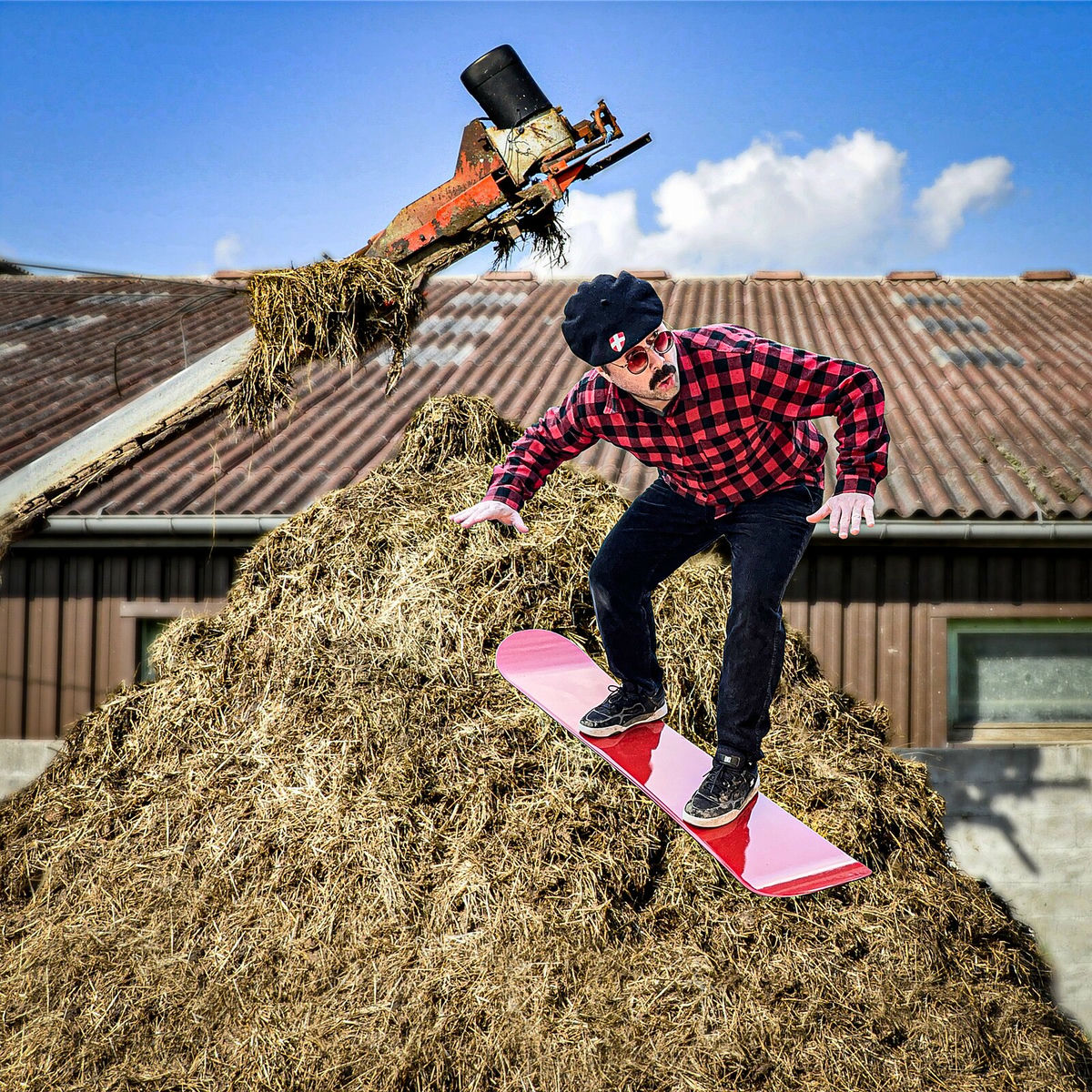 Album cover of Skier sur le fumier
