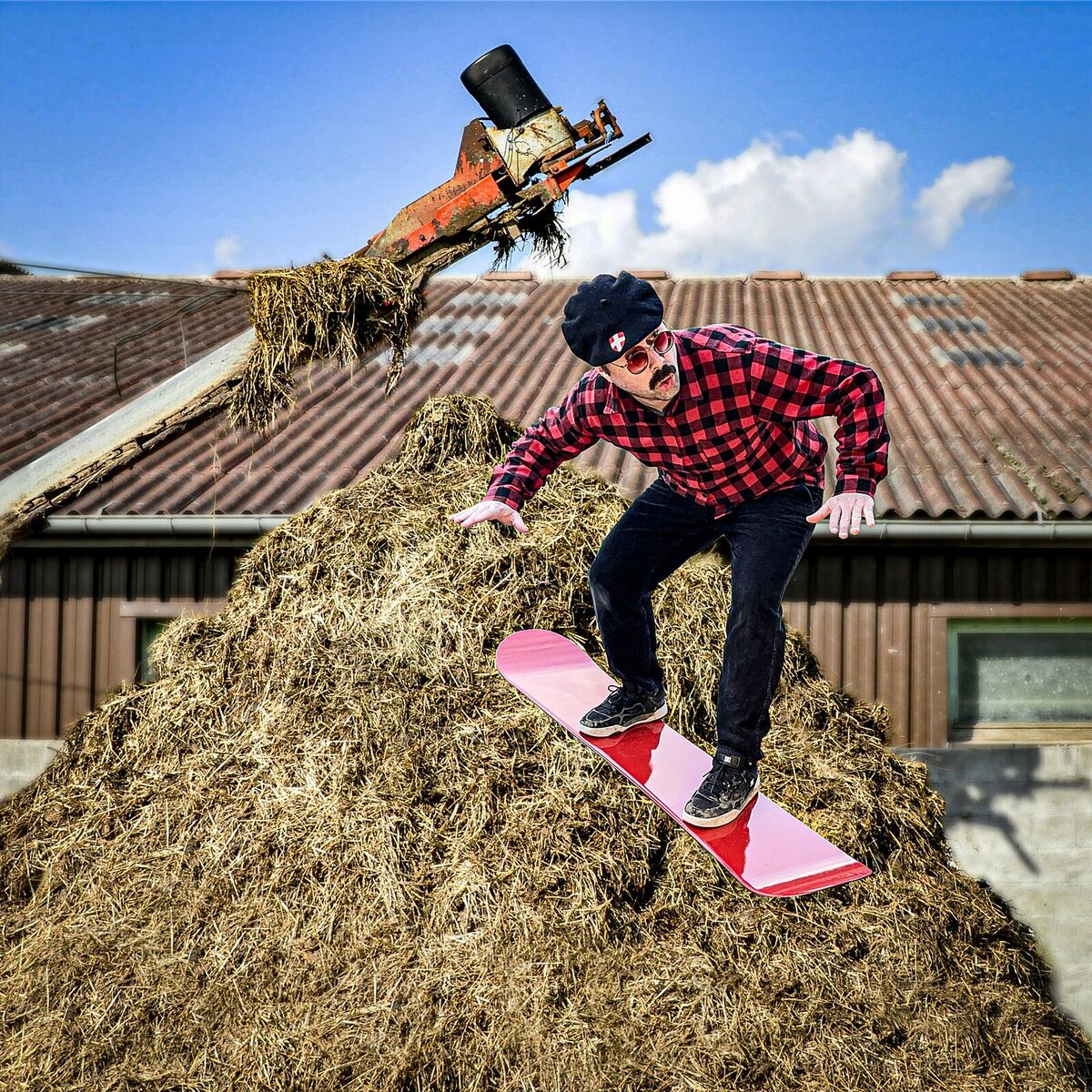 Album cover of Skier sur le fumier