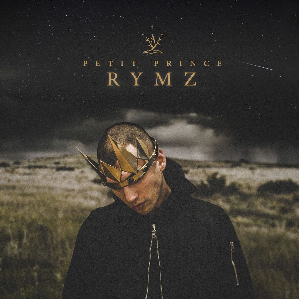 Album cover of Petit prince