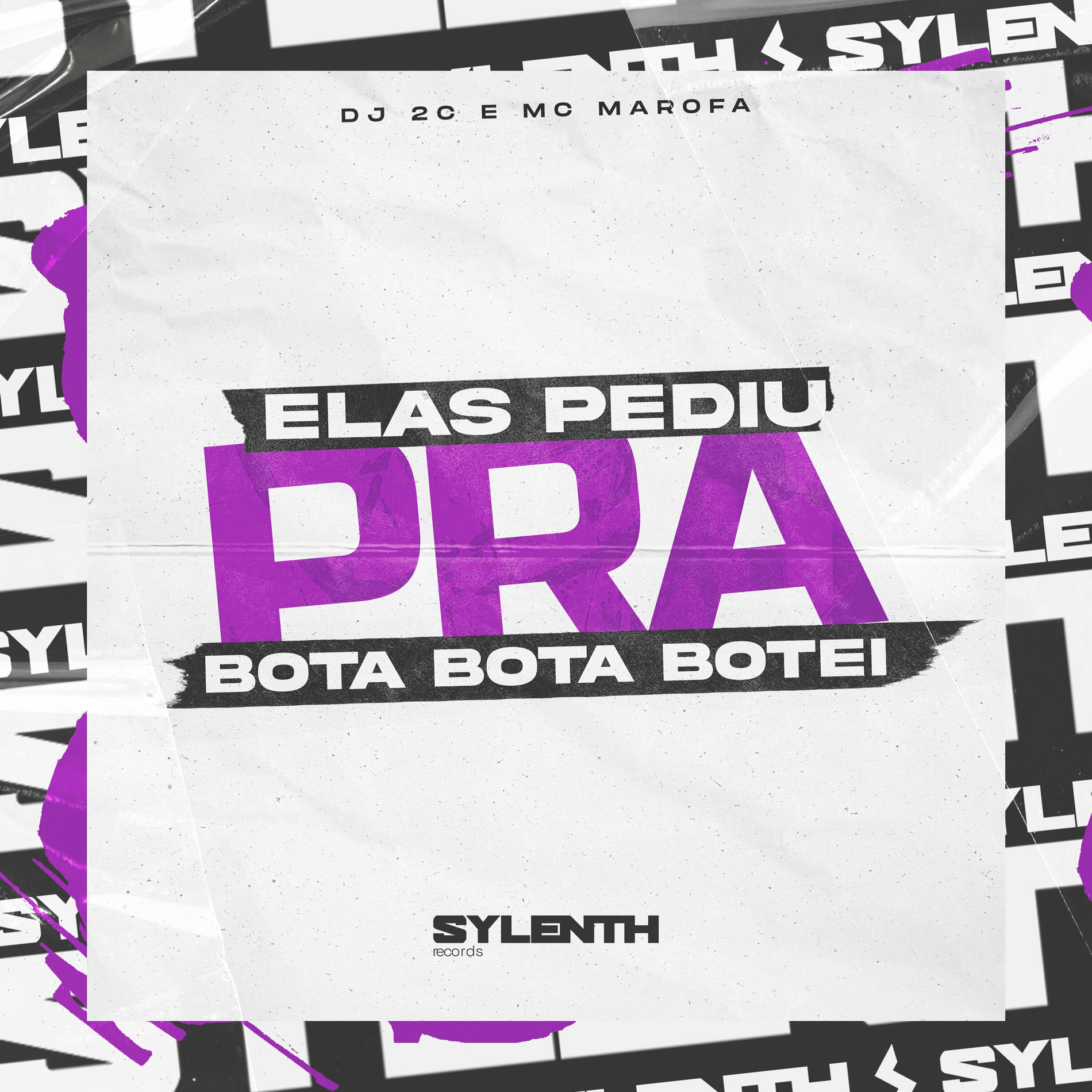 Album cover of Elas Pediu pra Bota Bota Botei