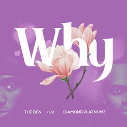Cover of Why