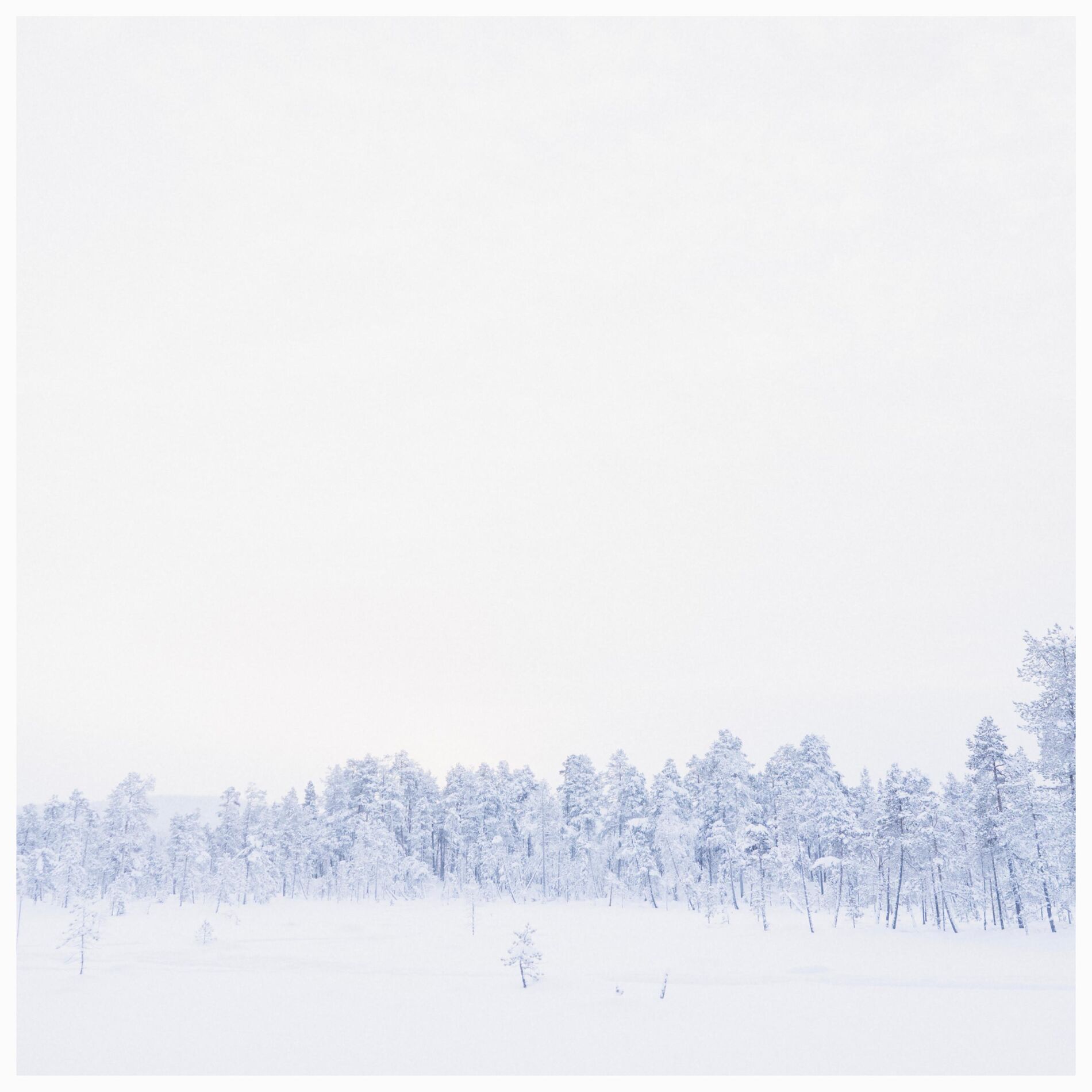 Album cover of Inari