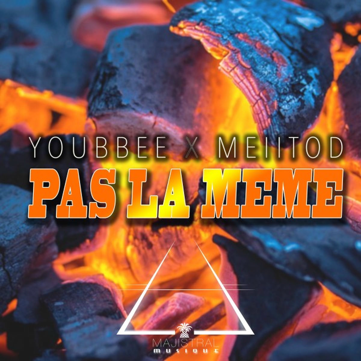 Album cover of Pas la même