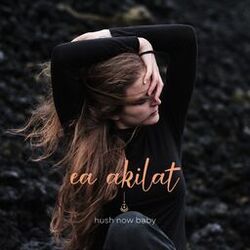 Cover of Hush Now Baby