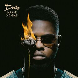 Cover of Rose noire