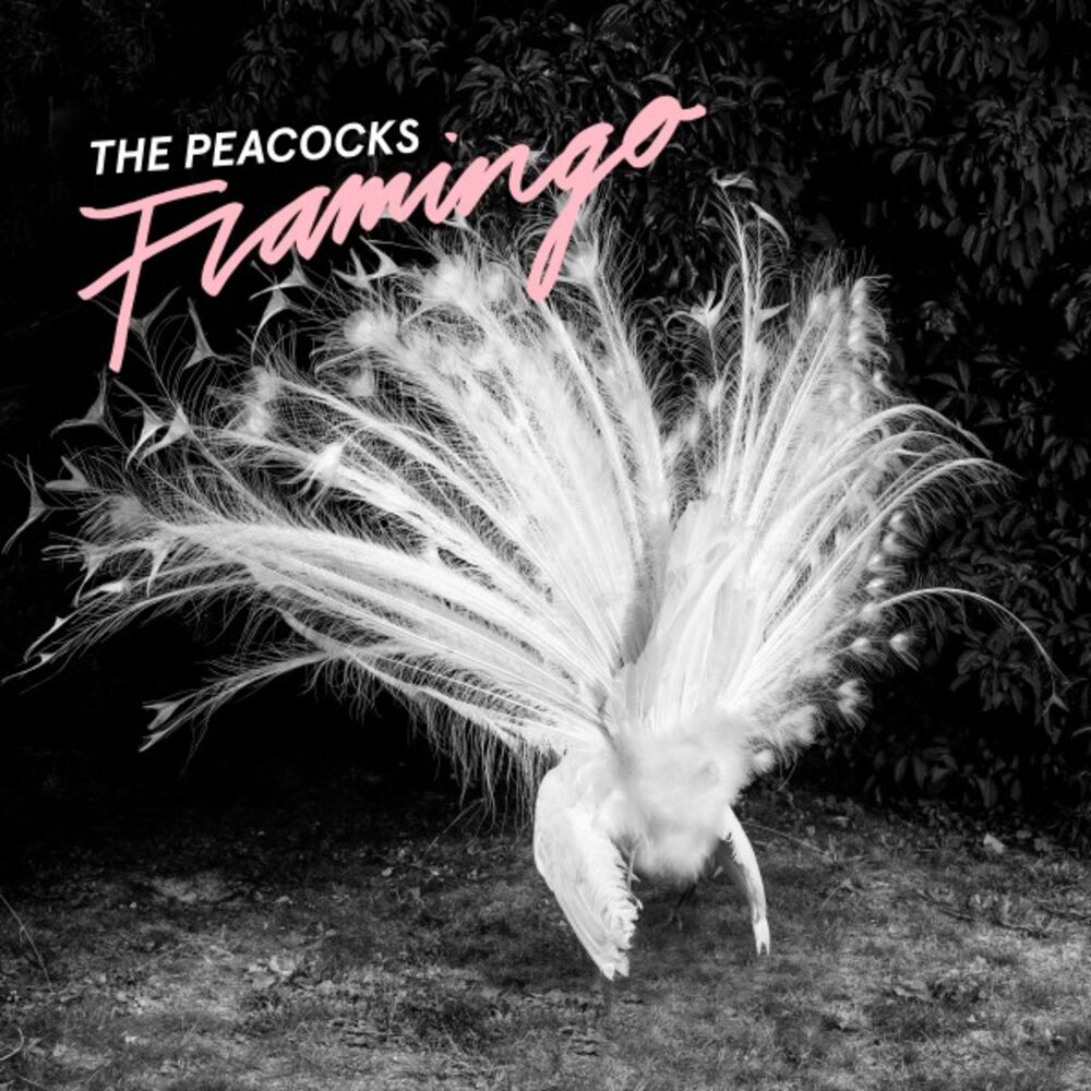 Picture of Flamingo