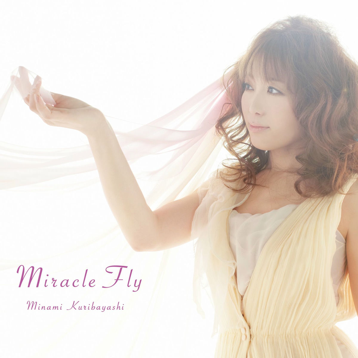 Minami Kuribayashi Live Tour 2013 “TIGHT KNOT” LIVE Blu-ray rdzdsi3 Minami Kuribayashi Live Tour 2013 