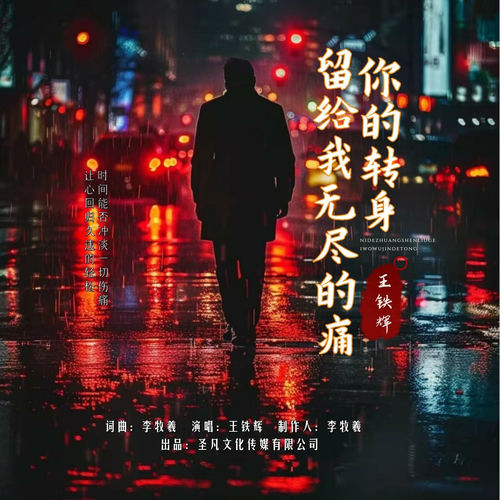 你的转身留给我无尽的痛 (男声版)
