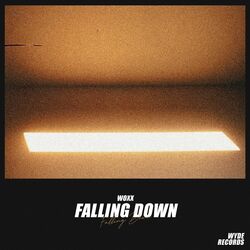 Cover of Falling Down