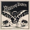 Rising Down by The Roots album cover