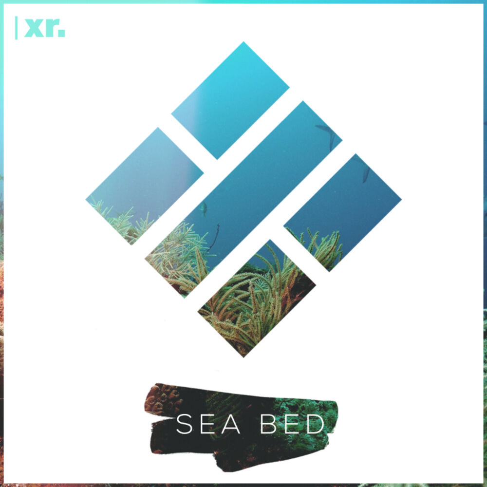 Picture of Sea Bed