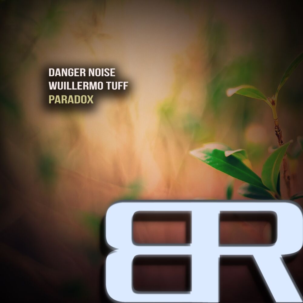 Picture of Paradox