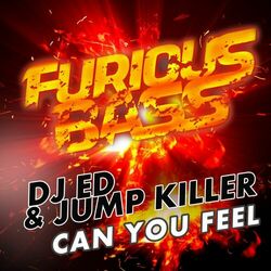 Cover of Can You Feel