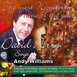 Cover of The Most Wonderful Time of the Year