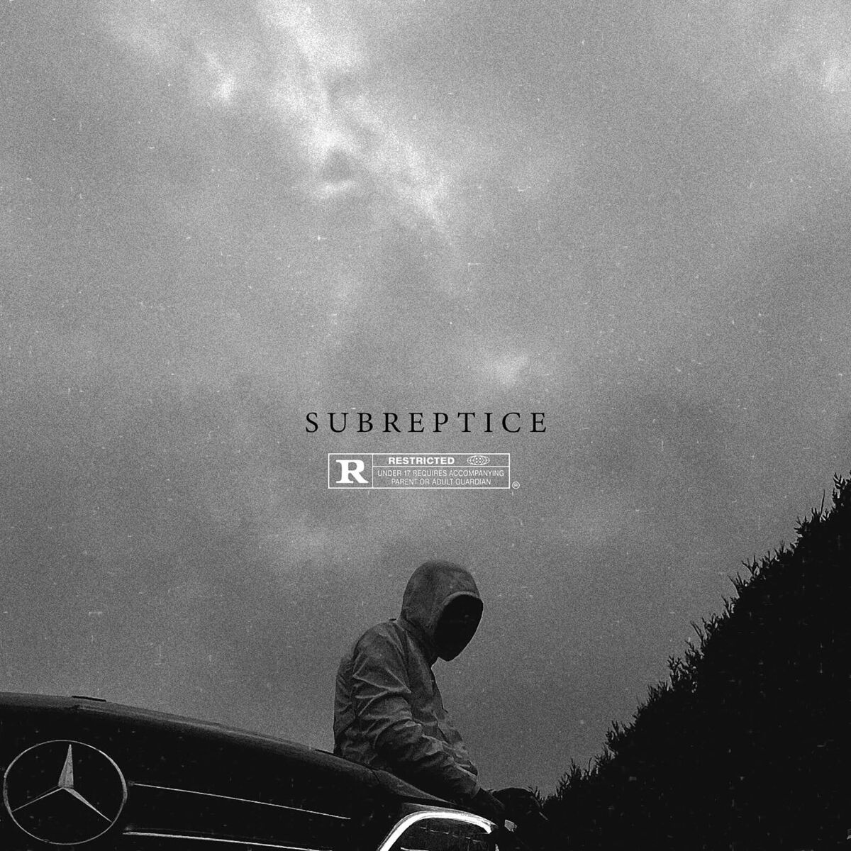 Album cover of SUBREPTICE