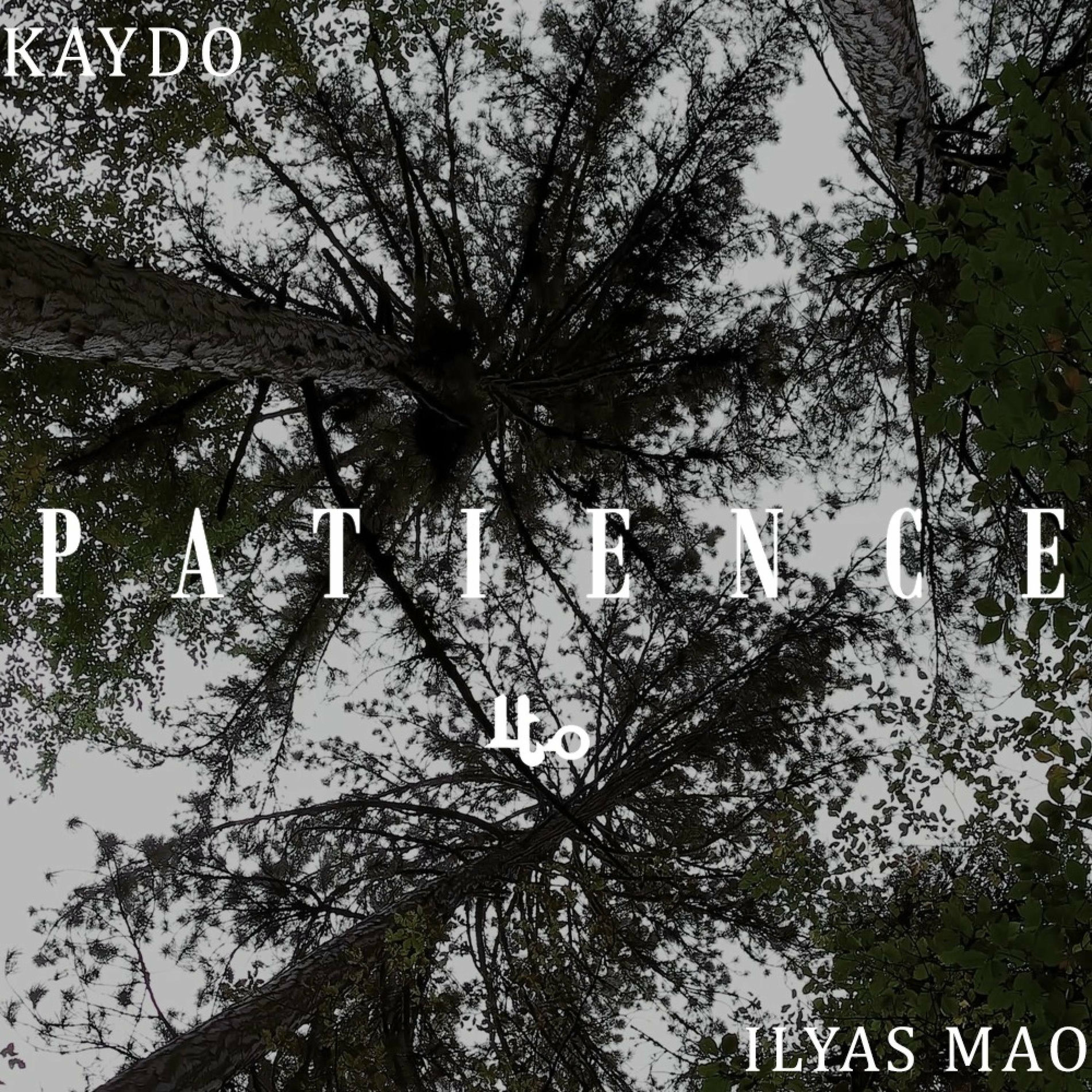 Album cover of Patience (feat. Ilyas Mao)