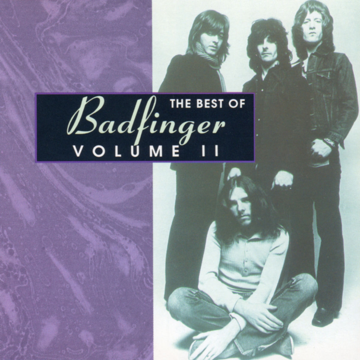 Album cover of The Best of Badfinger Vol 2