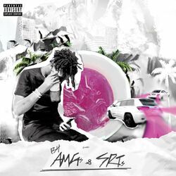 Cover of B4 AMGs & SRTs