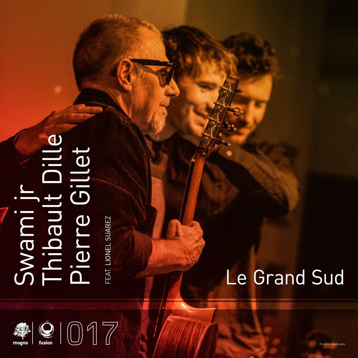 Album cover of Le grand Sud