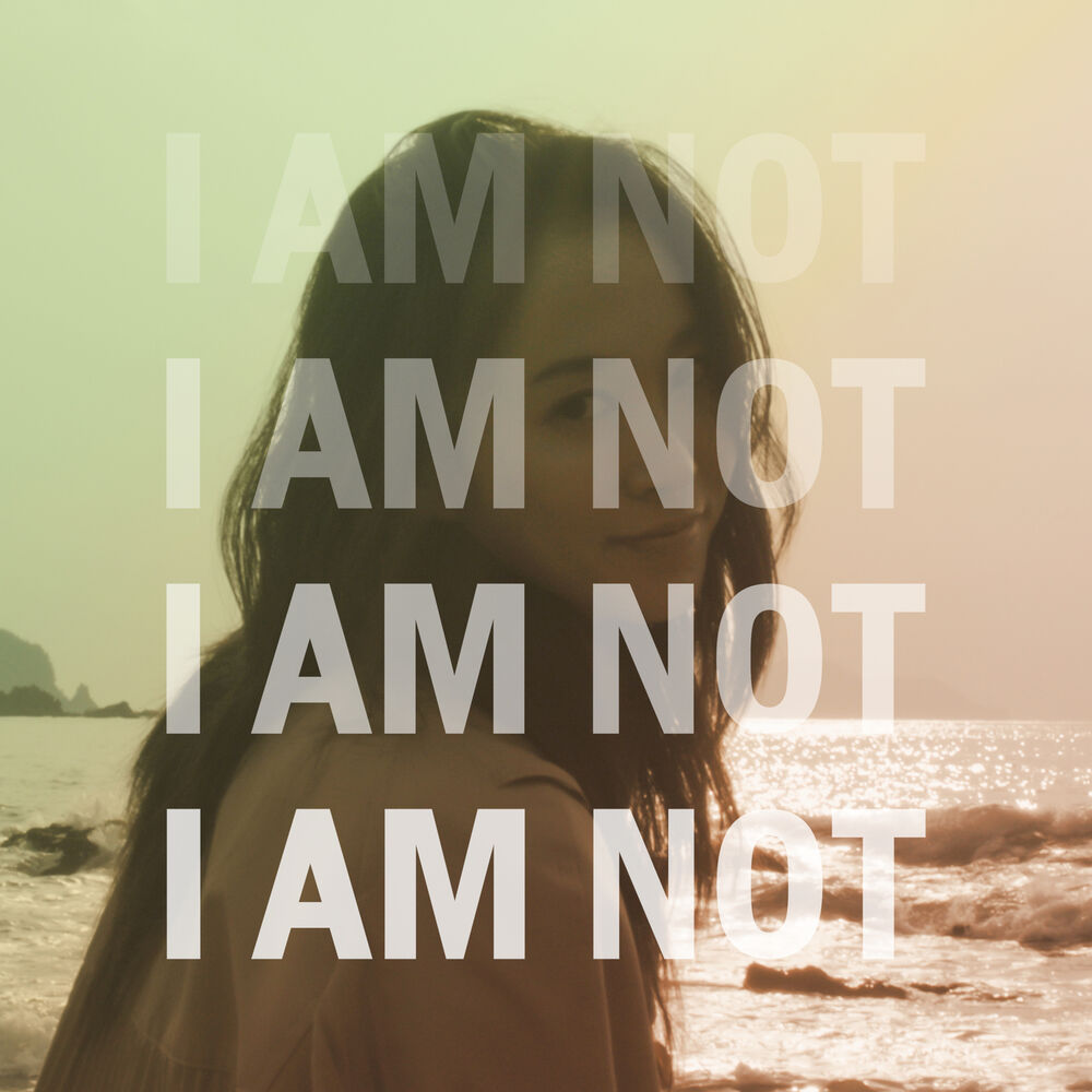 Picture of I Am Not