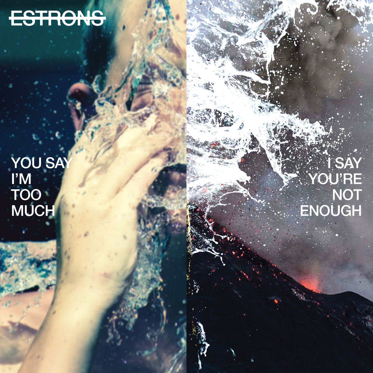 Album cover of You Say I'm Too Much, I Say You're Not Enough