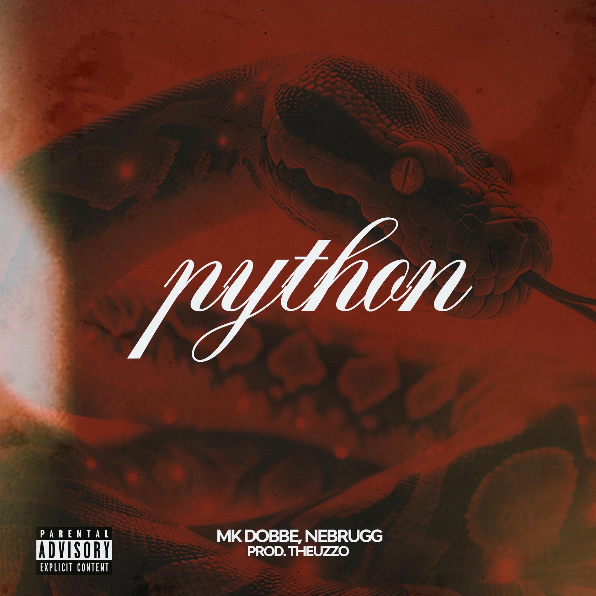 Album cover of Python (feat. Nebrugg & Theuzzo)