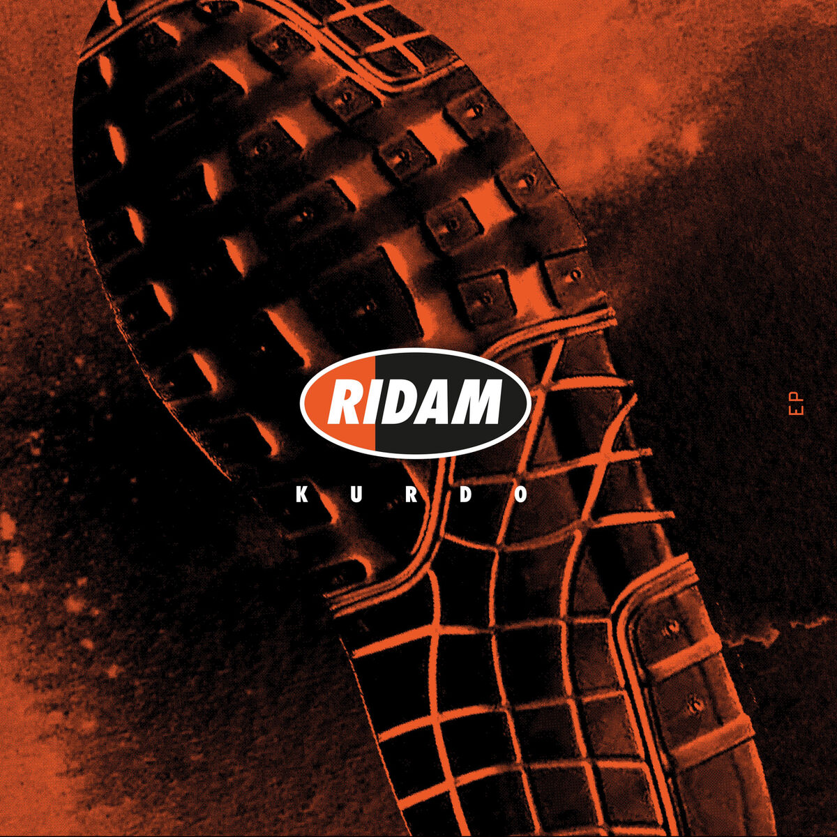 Album cover of RIDAM