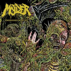 Cover of Engrossed in Decay