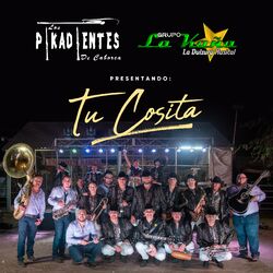 Cover of Tu Cosita