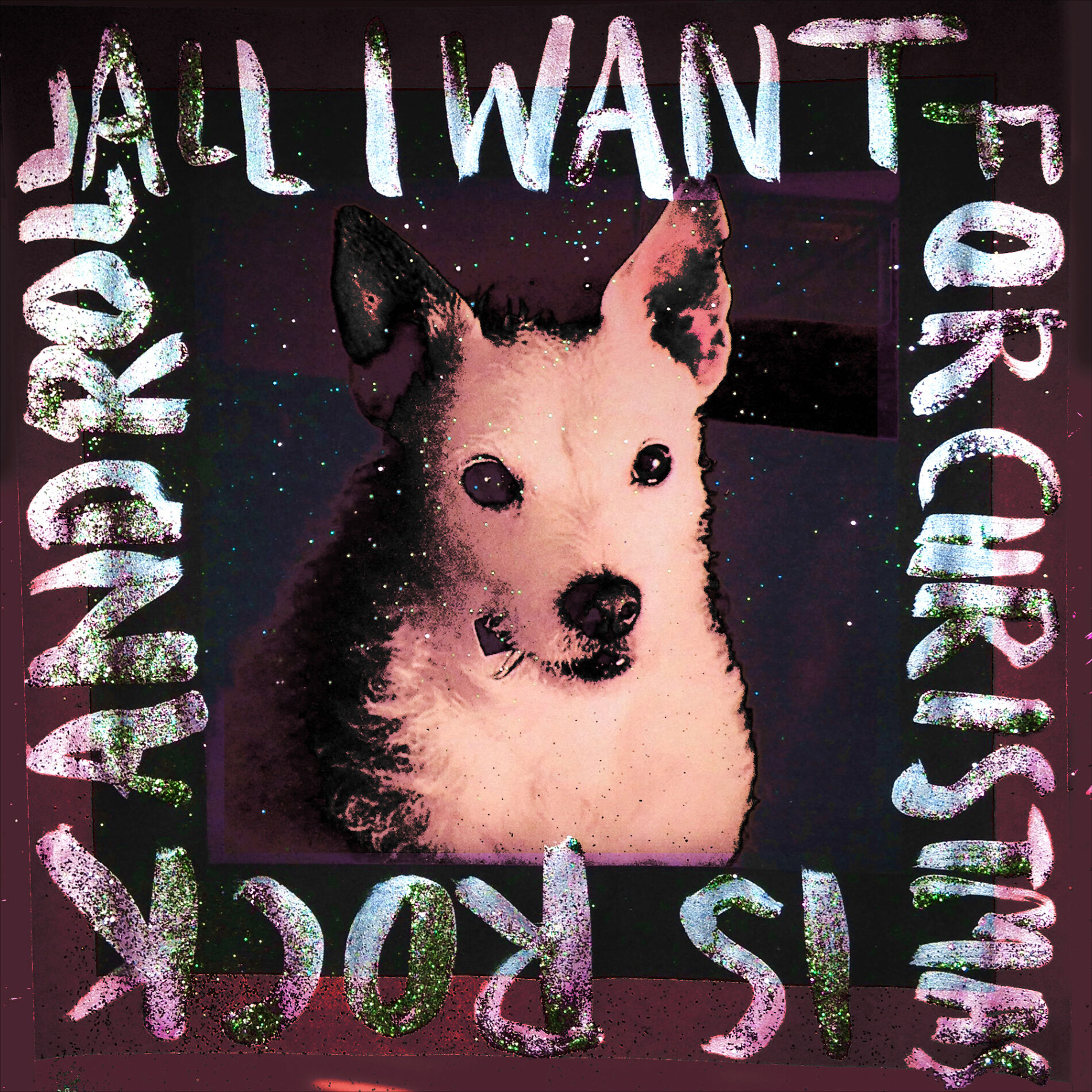 Album cover of All I Want For Xmas Is Rock & Roll