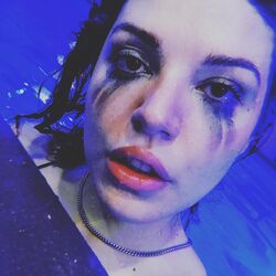 Cover of The Bright Lights