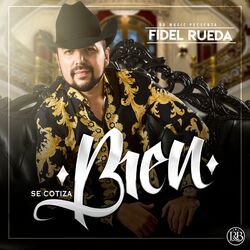 Cover of Se Cotiza Bien