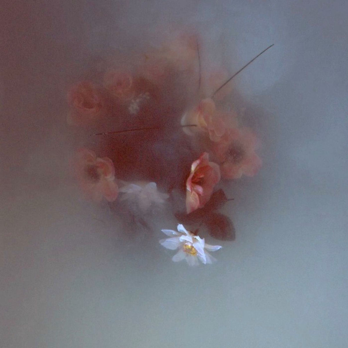 Album cover of Athena