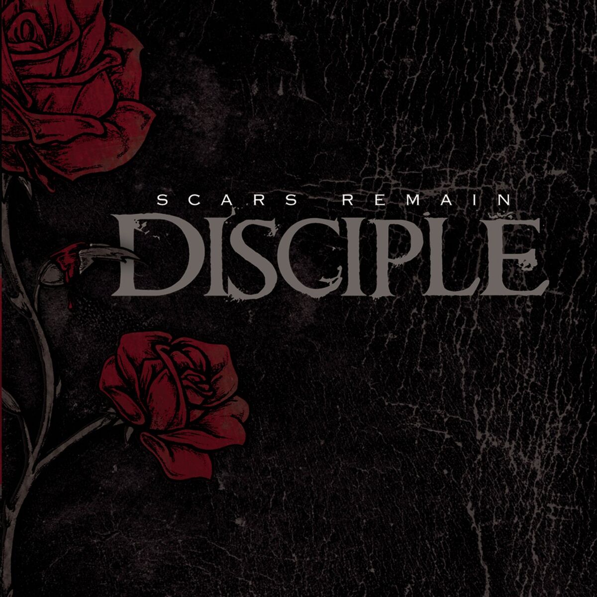 Album cover of Scars Remain